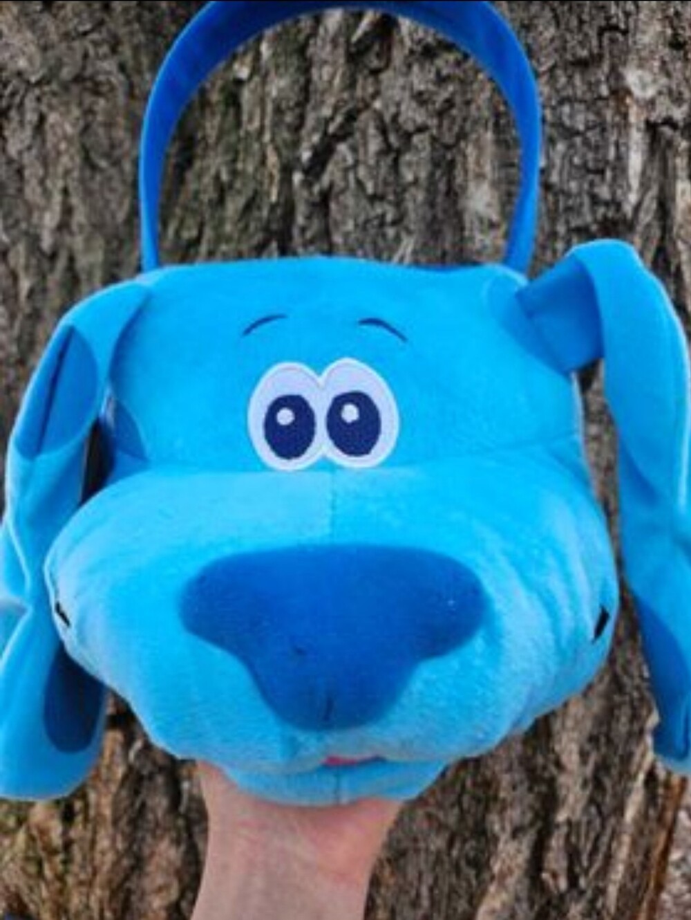 Blues Clues Treat Bucket, Blues Clues Easter Basket